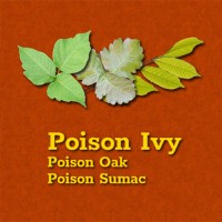 Poison Ivy logo, Poison Ivy contact details