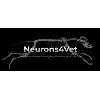 Neurons4vet.ai logo, Neurons4vet.ai contact details