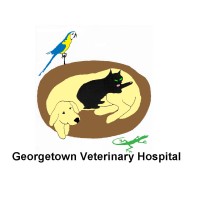 Georgetown Veterinary Hospital logo, Georgetown Veterinary Hospital contact details