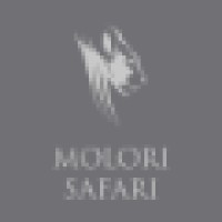 Molori Safari logo, Molori Safari contact details