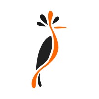 Hoopoe.media logo, Hoopoe.media contact details