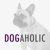 Dogaholic logo, Dogaholic contact details