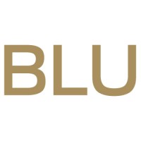 BLU Realty Group logo, BLU Realty Group contact details