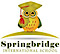 SPRINGBRIDGE INTERNATIONAL SCHOOL, LLC logo, SPRINGBRIDGE INTERNATIONAL SCHOOL, LLC contact details