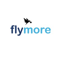 Flymore Consultancy Services logo, Flymore Consultancy Services contact details