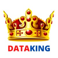 Data King logo, Data King contact details