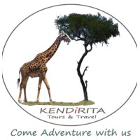 KENDIRITA TOURS AND TRAVEL LIMITED logo, KENDIRITA TOURS AND TRAVEL LIMITED contact details