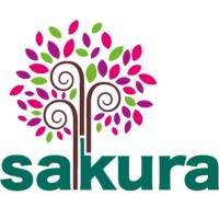 Sakura Ahşap logo, Sakura Ahşap contact details