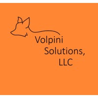 Volpini Solutions, LLC logo, Volpini Solutions, LLC contact details