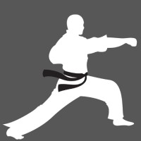 Black Belt Consulting logo, Black Belt Consulting contact details