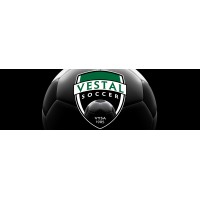 Vestal Youth Soccer Association logo, Vestal Youth Soccer Association contact details