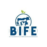 B.I.F.E. Bio Ingeniería en la Fabricación de Elaborados logo, B.I.F.E. Bio Ingeniería en la Fabricación de Elaborados contact details