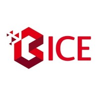 Cabinet BICE logo, Cabinet BICE contact details