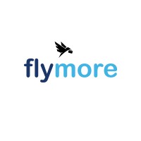 flymoreconsulatncy logo, flymoreconsulatncy contact details