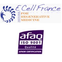 ECELL France Montpellier logo, ECELL France Montpellier contact details