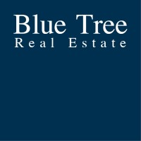 Blue Tree Real Estate GmbH logo, Blue Tree Real Estate GmbH contact details