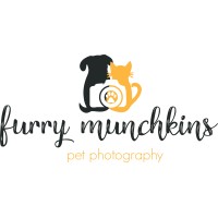 Furry Munchkins Pet Photography logo, Furry Munchkins Pet Photography contact details