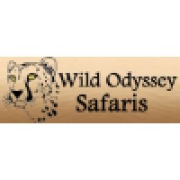 wild odyssey safaris logo, wild odyssey safaris contact details