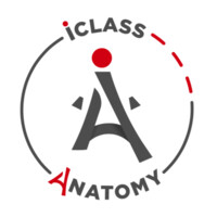 iClass Anatomy logo, iClass Anatomy contact details