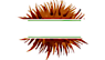 Burr Paw Llc logo, Burr Paw Llc contact details