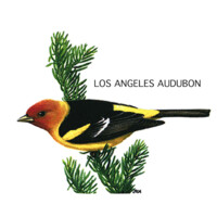 LOS ANGELES AUDUBON SOCIETY INC logo, LOS ANGELES AUDUBON SOCIETY INC contact details