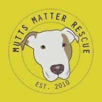 Mutts Matter Rescue logo, Mutts Matter Rescue contact details