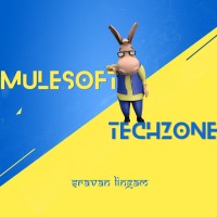 MuleSoft TechZone logo, MuleSoft TechZone contact details