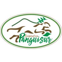 Cooperativa Panguisur logo, Cooperativa Panguisur contact details