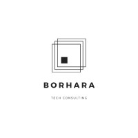 Borhara Tech Consulting logo, Borhara Tech Consulting contact details