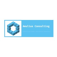 Amulius Consulting FZ-LLC logo, Amulius Consulting FZ-LLC contact details