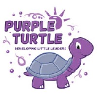 Purple Turtle International logo, Purple Turtle International contact details