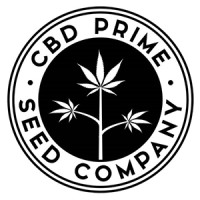 CBD Prime Seed Company logo, CBD Prime Seed Company contact details