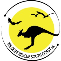 Wildlife Rescue South Coast logo, Wildlife Rescue South Coast contact details