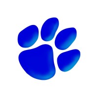 Blue Tiger Networks logo, Blue Tiger Networks contact details