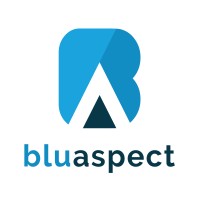 BluAspect logo, BluAspect contact details