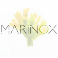 MARINOX logo, MARINOX contact details