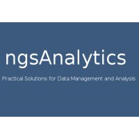 ngsAnalytics logo, ngsAnalytics contact details