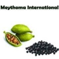 Meythoma international logo, Meythoma international contact details