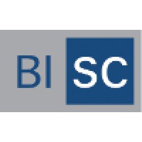 B.I. Strategic Consulting logo, B.I. Strategic Consulting contact details