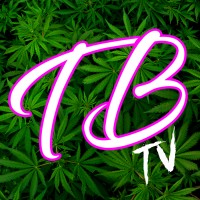 True Buds TV LLC logo, True Buds TV LLC contact details