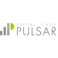 PULSAR CAPITAL EAFI SL logo, PULSAR CAPITAL EAFI SL contact details