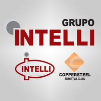 GRUPO INTELLI logo, GRUPO INTELLI contact details