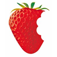 Strawberry Fields logo, Strawberry Fields contact details