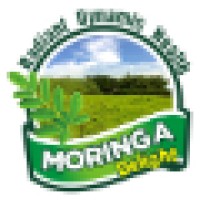 Moringa Delight logo, Moringa Delight contact details