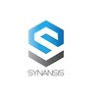 Synansis consultancy group logo, Synansis consultancy group contact details