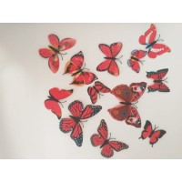 Butterfly Decor And More logo, Butterfly Decor And More contact details