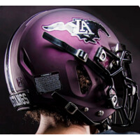 Lipscomb Academy Football logo, Lipscomb Academy Football contact details