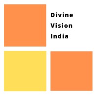 Divine Vision India logo, Divine Vision India contact details