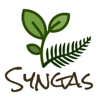 Syngas NZ Limited logo, Syngas NZ Limited contact details