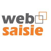 WebSaisie logo, WebSaisie contact details